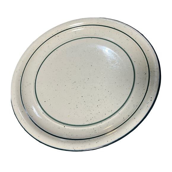 Tienshen Country Crock 11" Dinner Plate Green Crock Flecks Vintage Discontinued - Picture 2 of 7